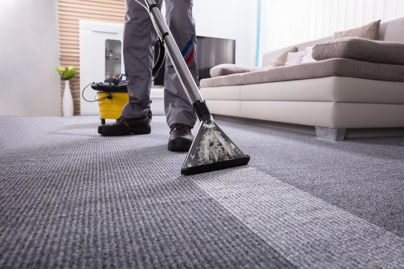 Disinfecting-Carpet-Yarrow-Point-WA