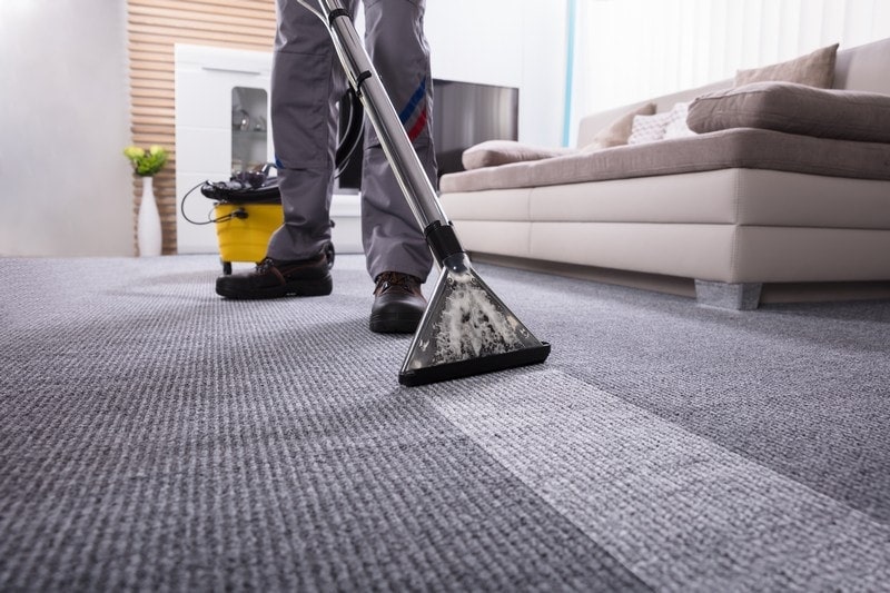 Disinfecting-Carpet-Yarrow-Point-WA