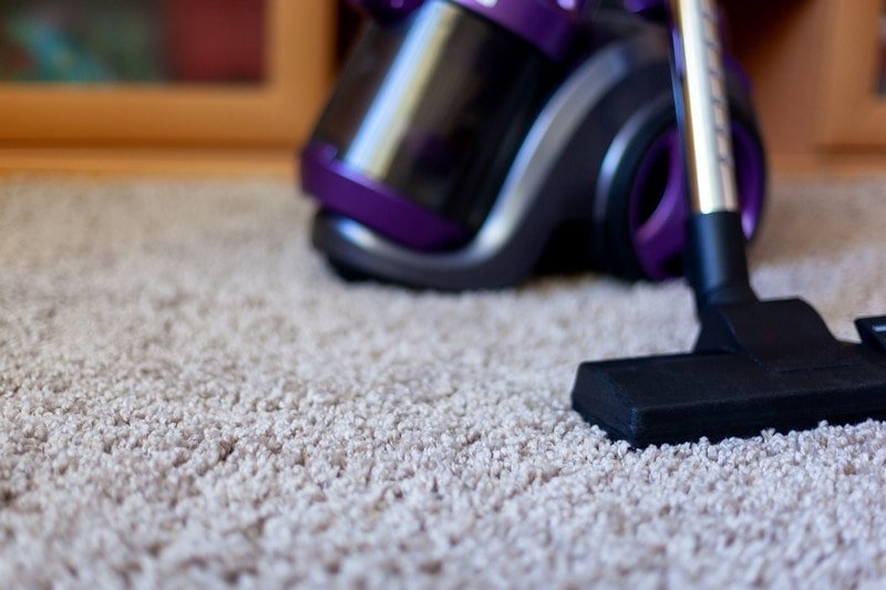 Carpet-Maintenance-Issaquah-WA
