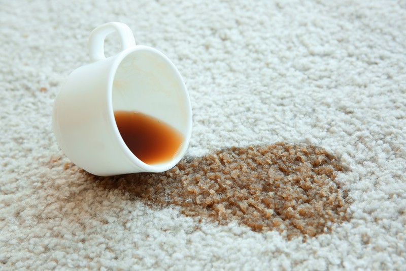Kirkland Carpet Cleaners Leading Kirkland carpet cleaners in WA near 98034