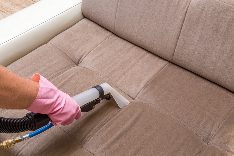 Professional Lake Hills upholstery cleaning in WA near 98008