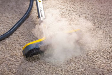 Professional Bellevue carpet shampooer in WA near 98005