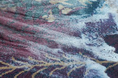 Mercer Island Carpet Shampoo Mercer Island carpet shampoo services in WA near 98040