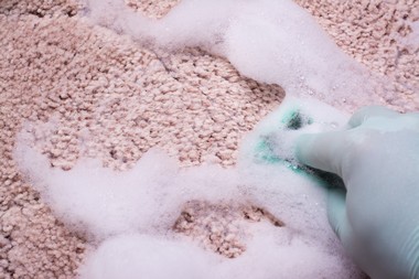 Renton Carpet Shampoo Renton carpet shampoo services in WA near 98058