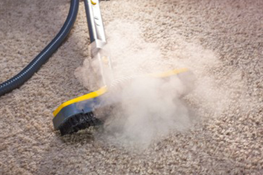 Medina Carpet Shampooer Professional Medina carpet shampooer in WA near 98039